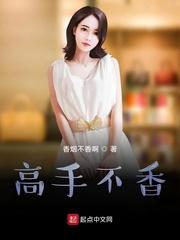 海贼：我，艾斯，日蚀之王！封面