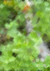 恐怖游戏快点来，我忙着速通呢！封面