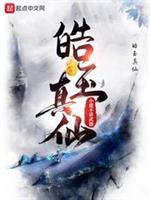 方闻小说全文免费阅读封面