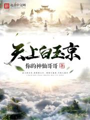 光阴的飞刀封面