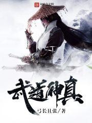 关雪岚顾修江浔封面