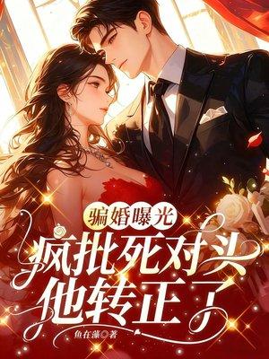 极品火爆兵王封面