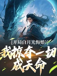 赌痴开天封面