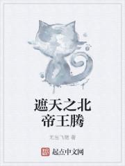 这个武圣太谨慎了封面