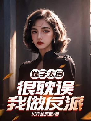公子风流世无双封面