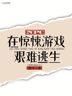 归处封面