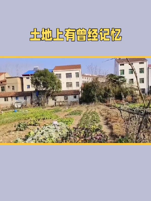 暖爱不休：步步成婚封面
