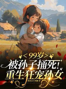 如此盛世封面