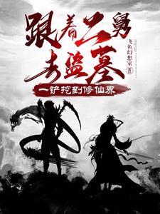 衡辰那些事封面