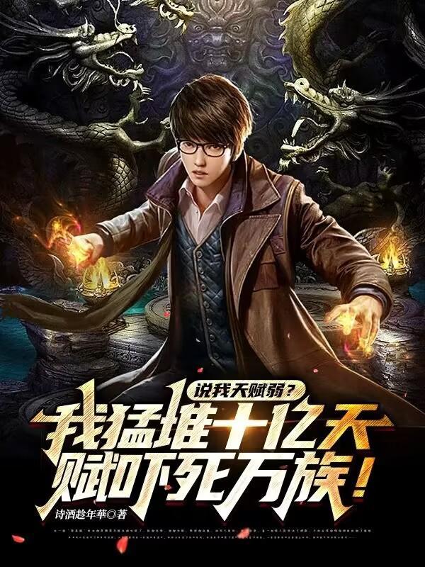 重启大明风华封面