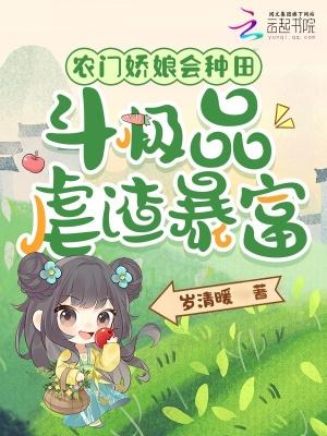 大明，我的老丈人是卢象升封面