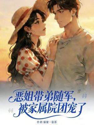 明末，起兵两万我是五省总督封面