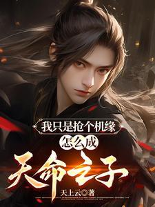 家境四方封面