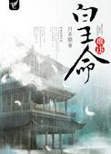 笨蛋炮灰被BOSS看上了［无限］