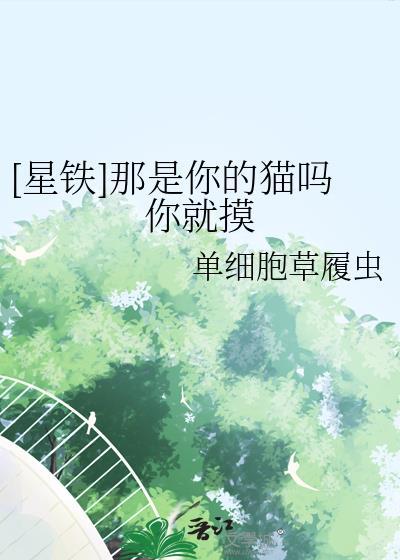 穿书炮灰A她真香了