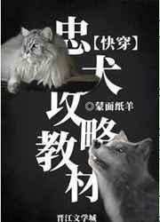 潮湿禁区