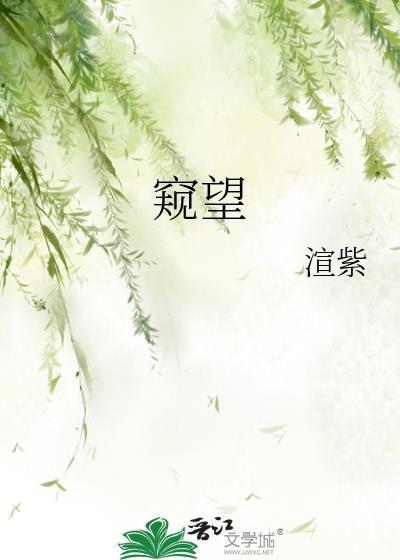 小猫六一的养人手札