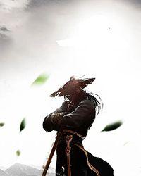 战争领主:汉化龙裔