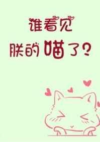 我，恶毒女配，身兼数职