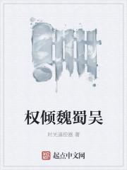 c级向导的上位