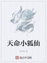 华娱从雪姨开始
