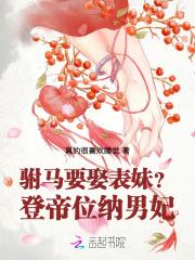 云锦庄浮沉记