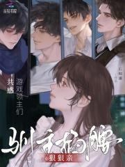无限之血统