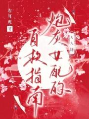 青春的化学方程式