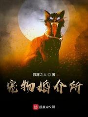 主角叫周瑾序江倪的小说