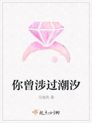 芯源战纪