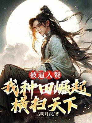 单机游戏供应商