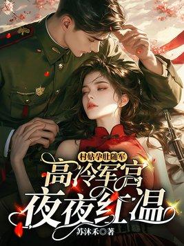 疯狂的萍姨王强小说全集
