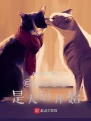缘起鸢落