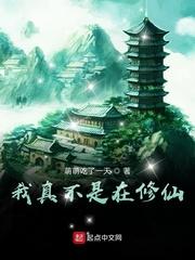 总有人间一两风