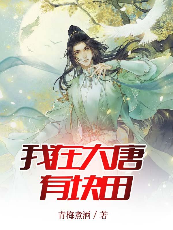 民国之制霸上海滩