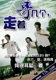 1993,鹏城警事