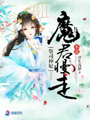 网游之暴风游侠