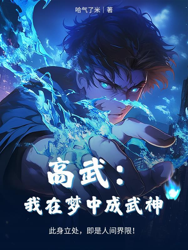 镜域：无序宣言