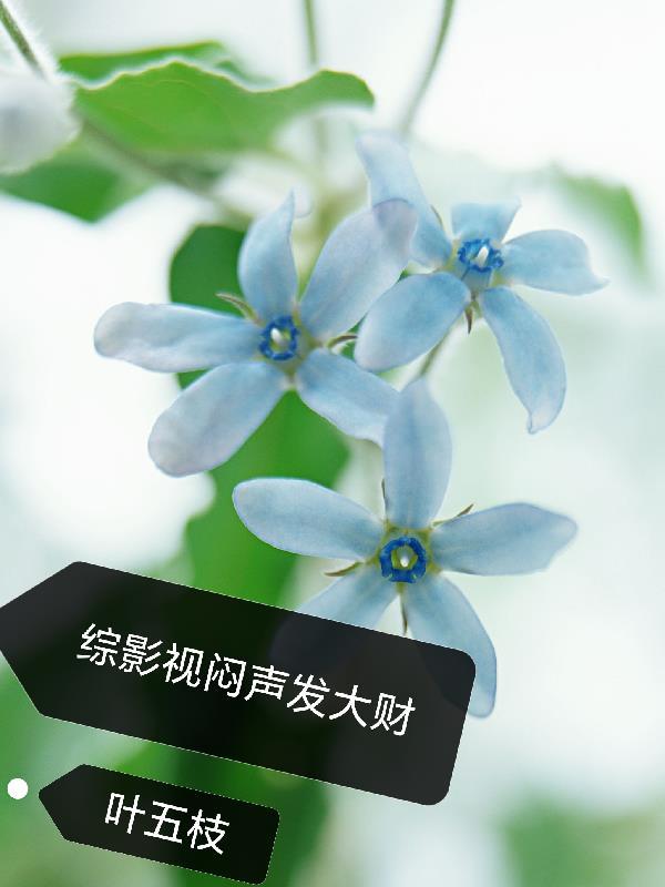 说我写的是网文？请叫我文明瑰宝