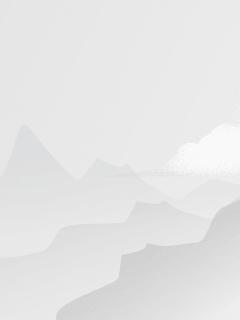 apex的