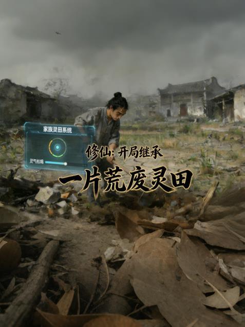 玄门青乌
