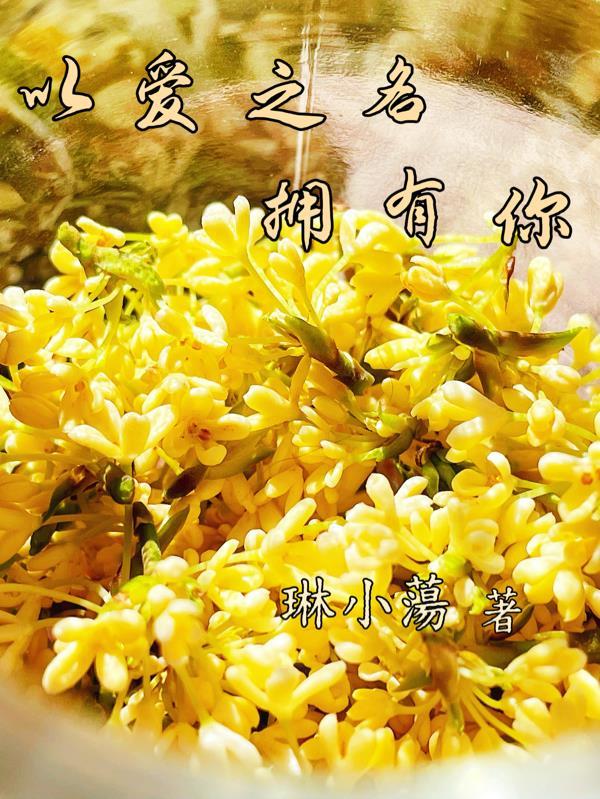 快穿：宿主她高贵冷艳
