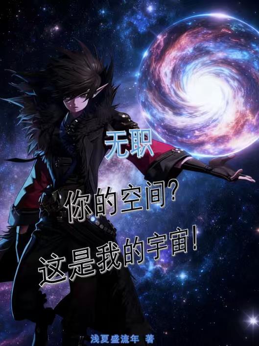 维度代行者