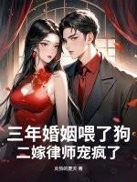 系统之敌