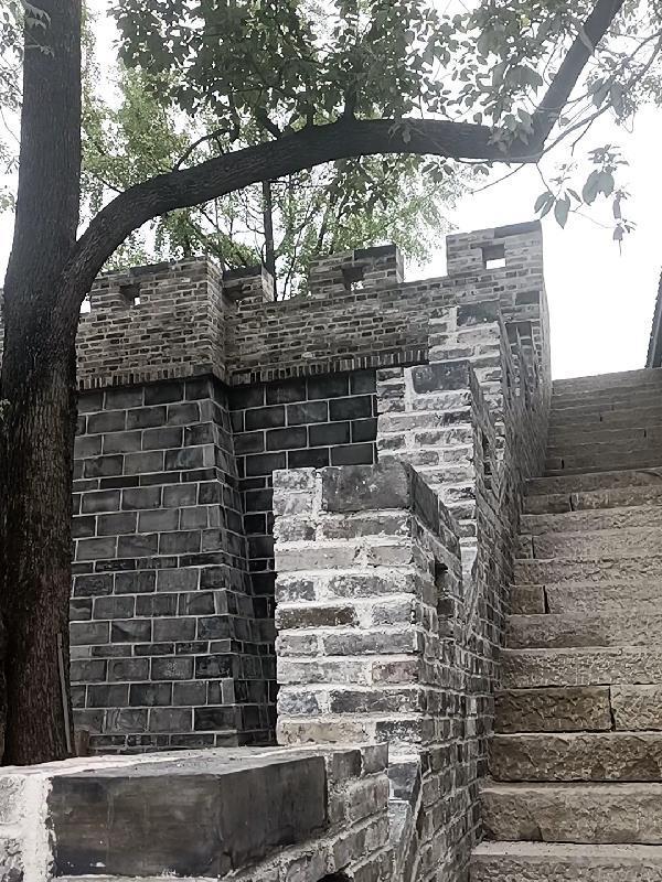 道侣不该这么少