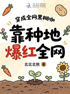 北境领主：从破败石堡到北境之主