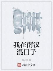 我的半岛2007