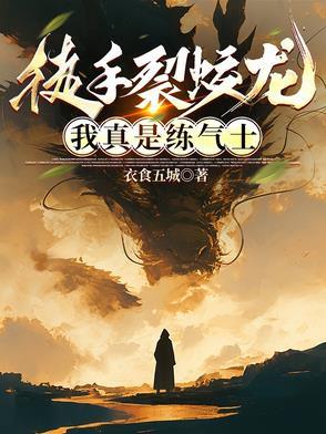 大野入苍穹