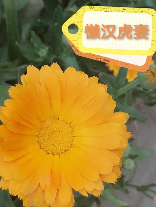 三清山修行传