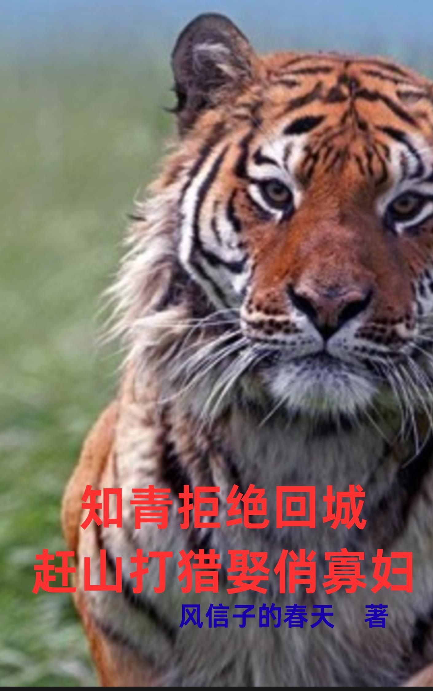 出发，新的人生路